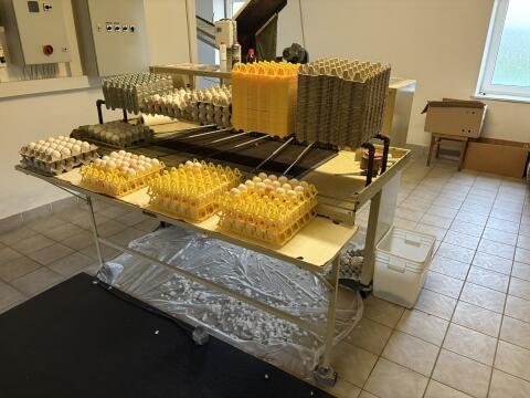 Staalkat Eiersortiermaschine