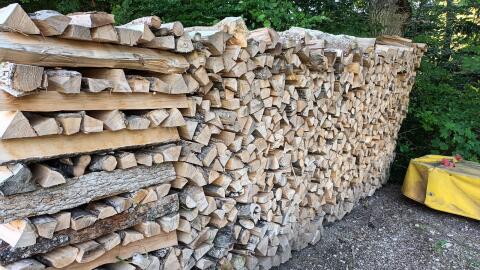 Brennholz