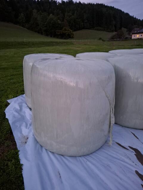 Maissilageballen