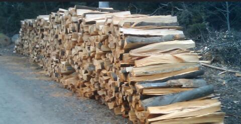 Buchenbrennholz