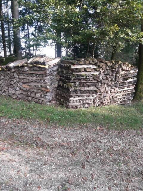 Trockenes Brennholz