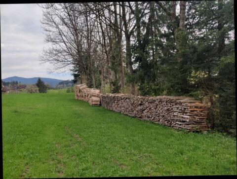 Brennholz