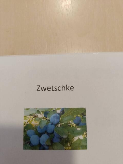 Schnaps