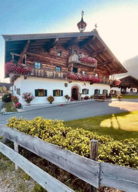 Praktikum Sommer 2026 Landwirtschaft in Tirol (ab 10 Wochen)