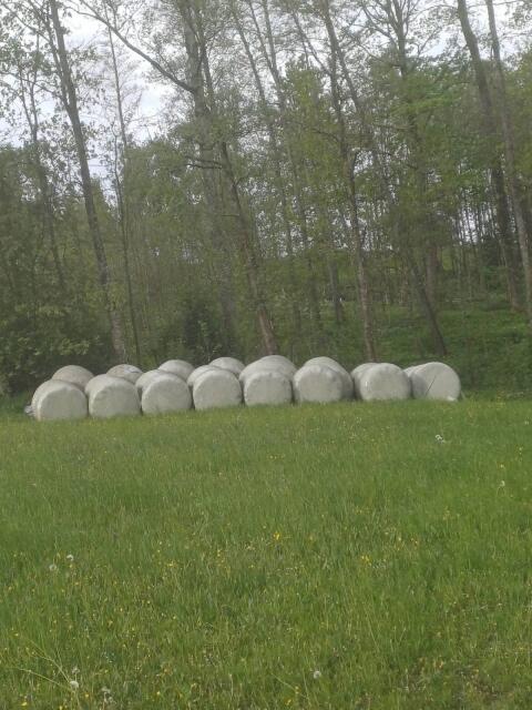 Siloballen