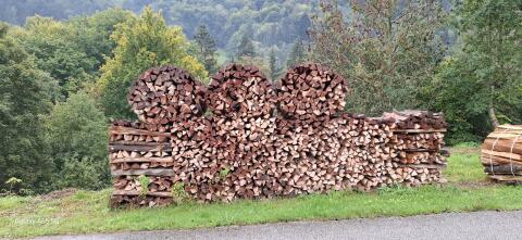 Brennholz