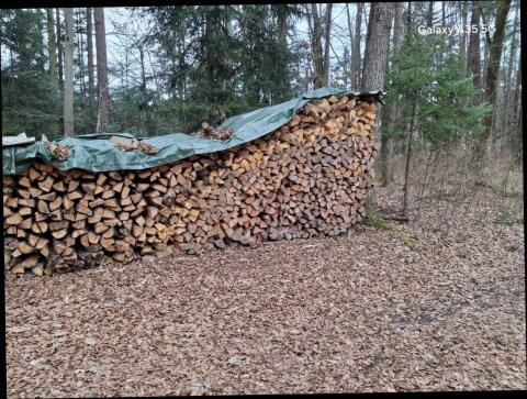 Getrocknetes Brennholz