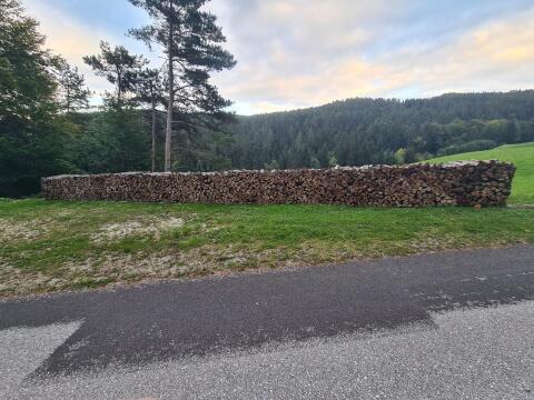 Brennholz, Scheiterholz
