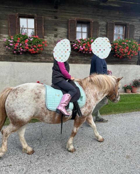 Pony