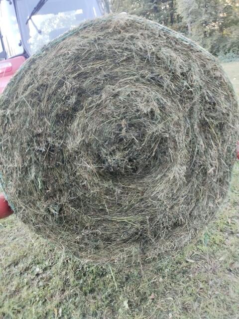 Silageballen
