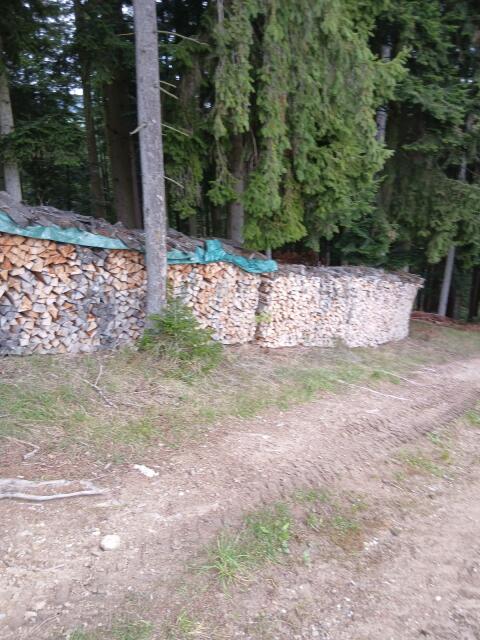 Eschenbrennholz