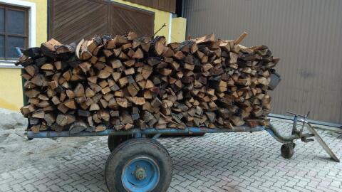 Brennholz hart
