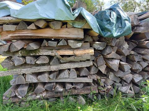 Brennholz