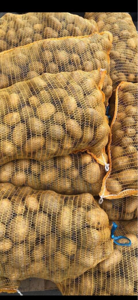 BIO Kartoffeln