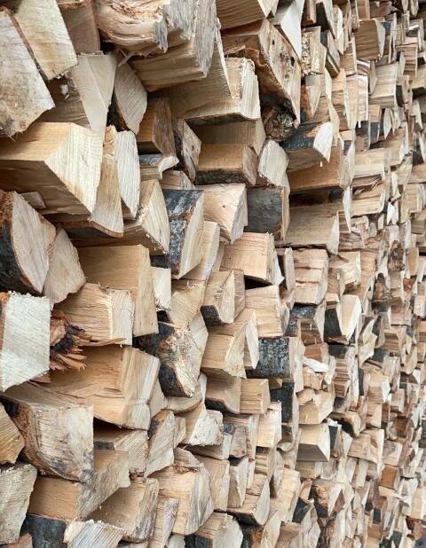 Buchenholz