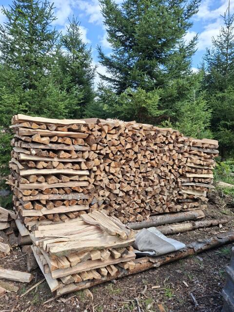 Buchenholz