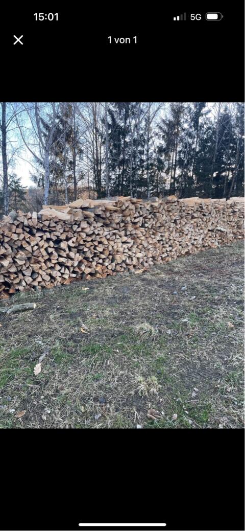 Brennholz