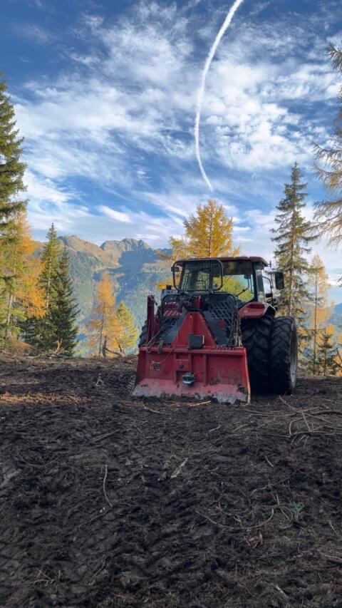 Jegliche Forstarbeiten
