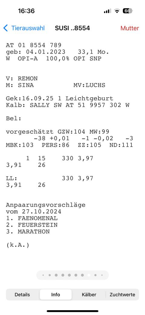 Bio Jungkuh Pinzgauer