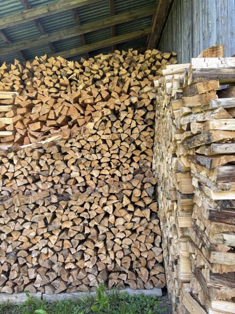 Brennholz