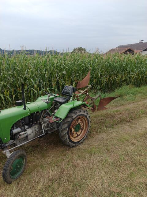 Suche Pachtfläche Acker ca. 300-500 m²