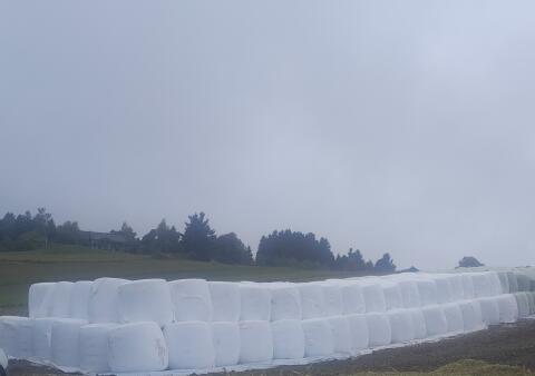 Maissilageballen