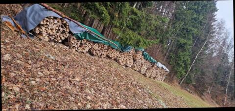 Brennholz Buche Bündel