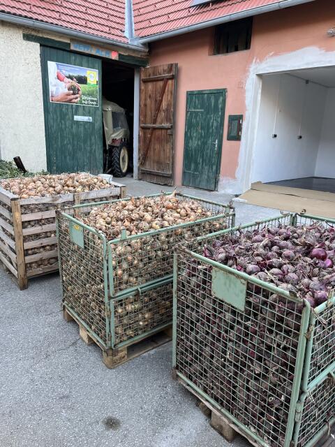 Bio Zwiebel rot und gelb
