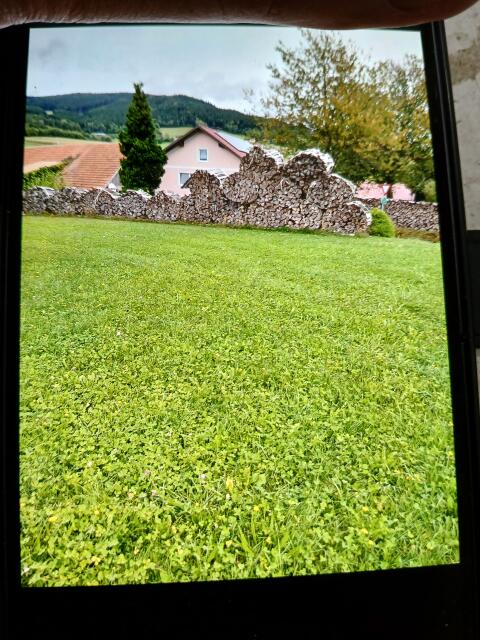 Buchen Brennholz