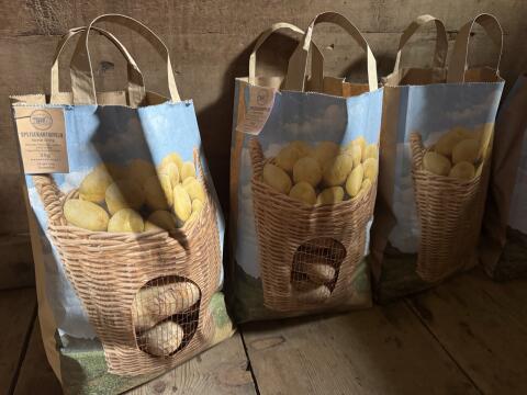 Kartoffeln Ditta
