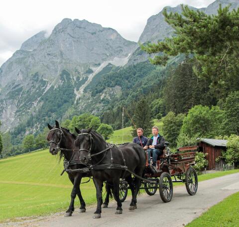 Reitbeteiligung im Pongau