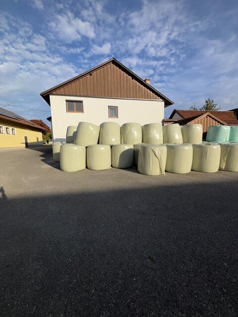 Maisballen