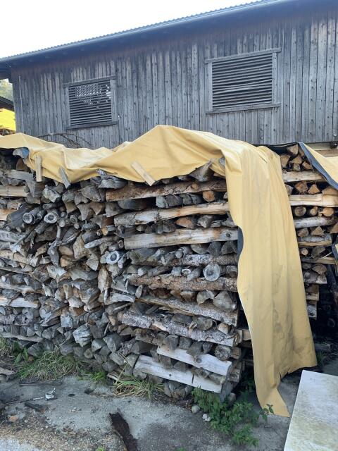 Brennholz