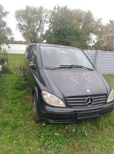 Mercedes Viano