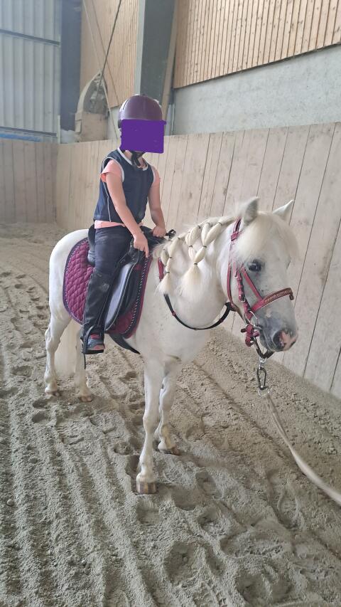Ponywallach
