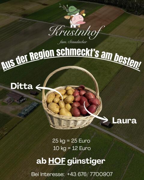 Kartoffeln, Erdäpfel
