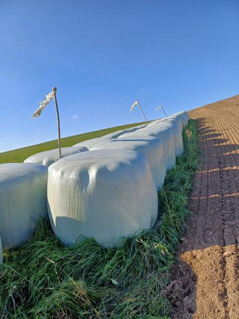 Silageballen