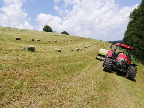 Bio Heu in Kleinballen