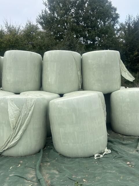 Maisballen