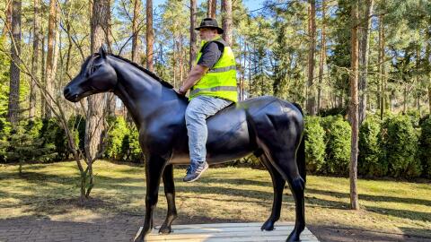 Pferd lebensgroß in 3D zum Aufsitzen bis 100 kg belastbar