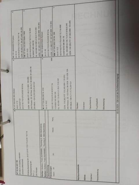 Widder Schaf