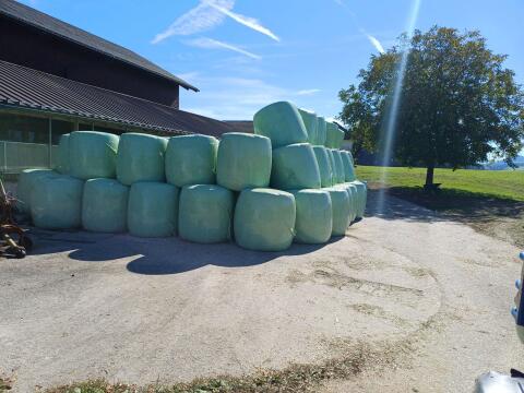 Maissilageballen