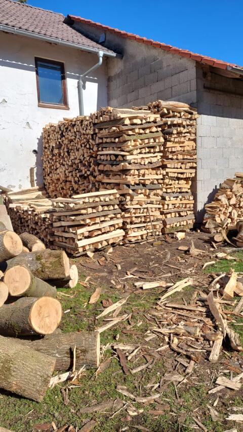 Hartholz Esche