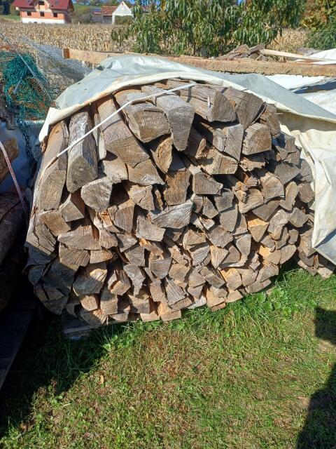 Brennholz Buche oder Esche