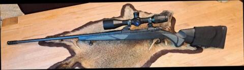 Sako 85L, 375 HH Mag.