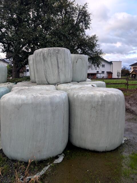 Grassilage Ballen