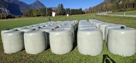 Maisballen