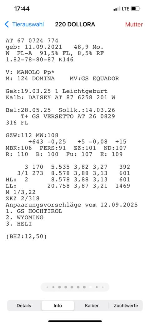 Kuh in Milch 30 l