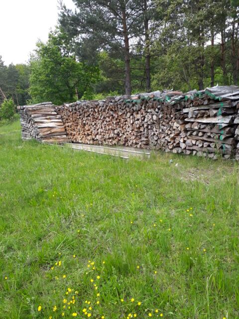 Buchenbrennholz