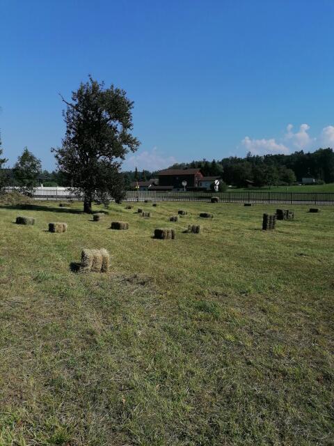 Heu in Kleinballen